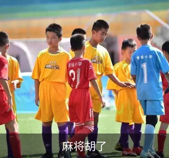 了解麻将胡了